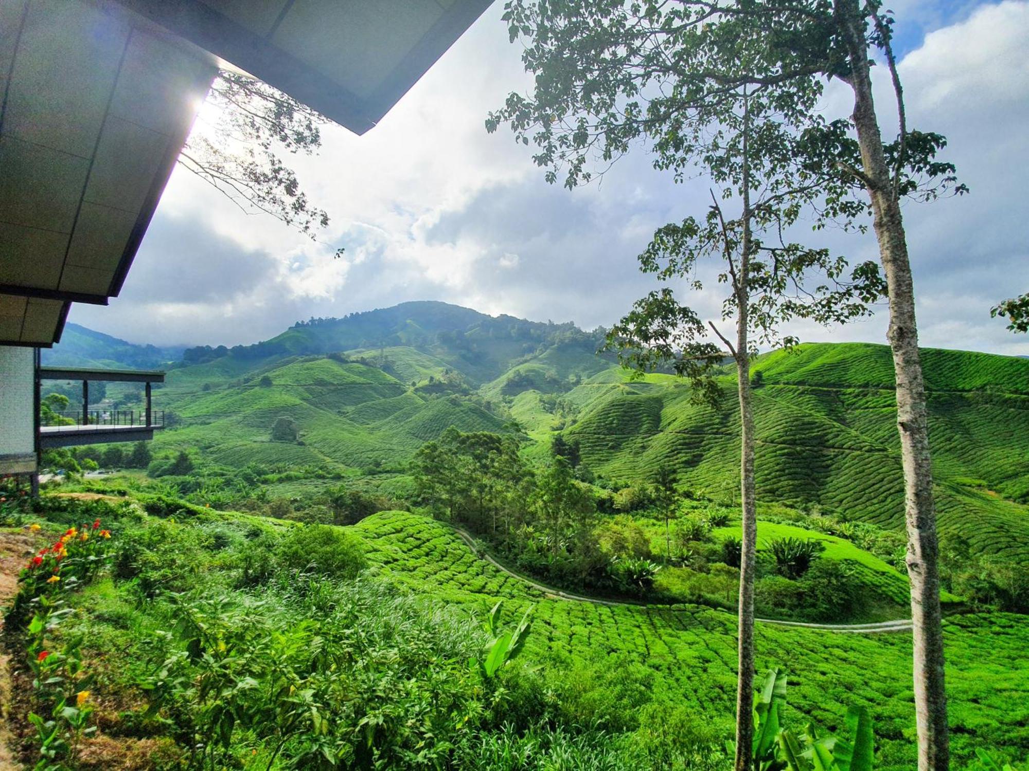 Clocktower 2 Homestay 2-7 Pax At Brinchang, Cameron Highlands Exterior photo