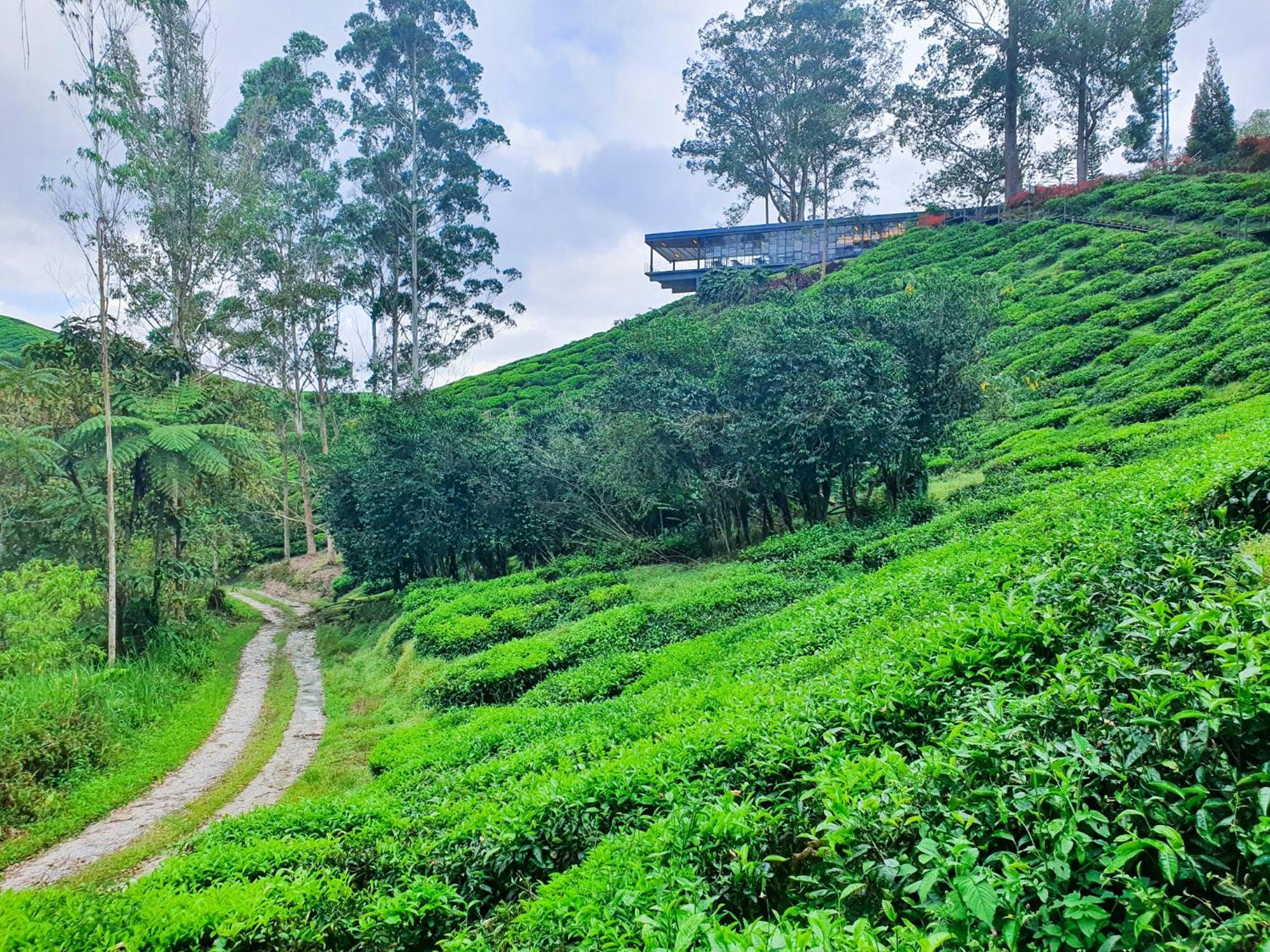 Clocktower 2 Homestay 2-7 Pax At Brinchang, Cameron Highlands Exterior photo